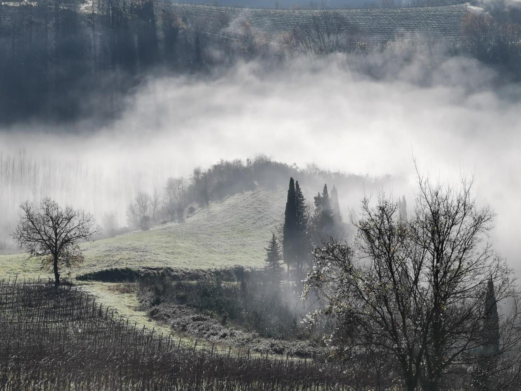 Agriturismo Bio Fattoria Bacio Certaldo Eksteriør bilde
