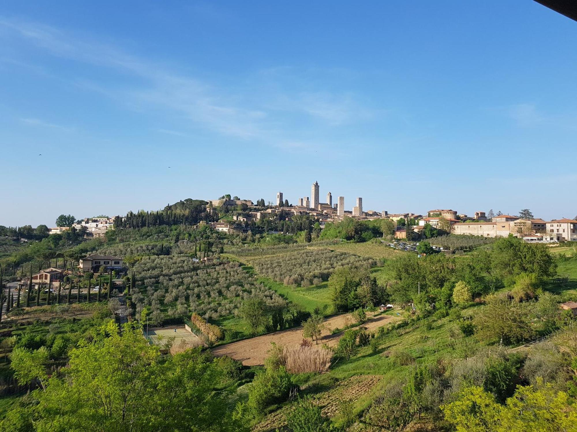 Agriturismo Bio Fattoria Bacio Certaldo Eksteriør bilde