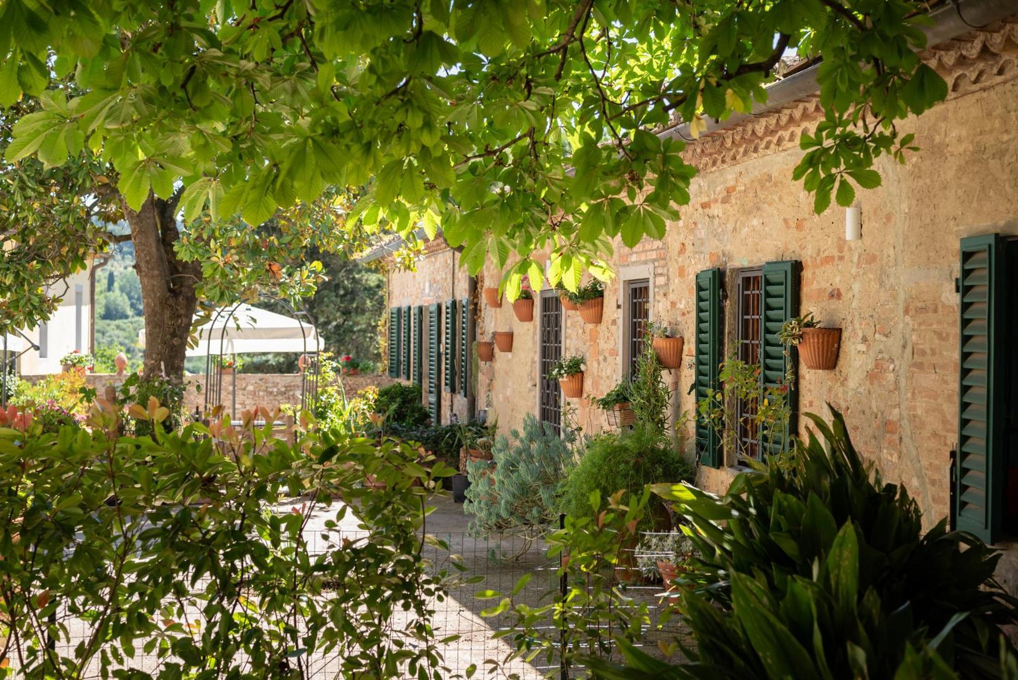 Agriturismo Bio Fattoria Bacio Certaldo Eksteriør bilde